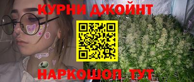 амф Гусев