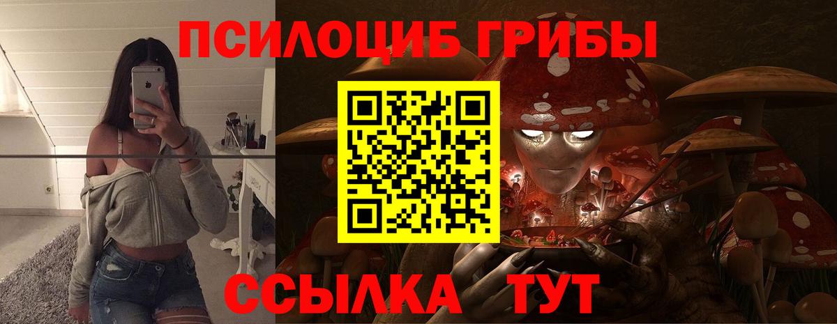 Котельники  хочу   Вход с VPN  Галлюциногенные грибы GOLDEN TEACHER 